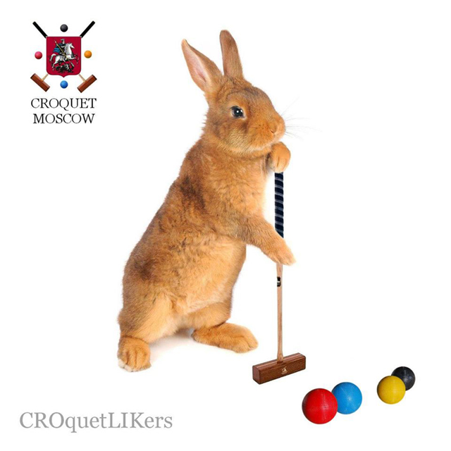 ������ - ������ - CROquetLIKers - CROLIK.