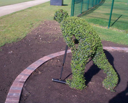 ������. Croquet.