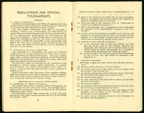 Croquet. ������.