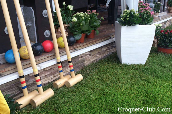 Croquet Party - ������ ���������.