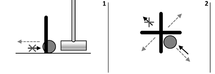 ��������� ����������� ����. ������� ������.