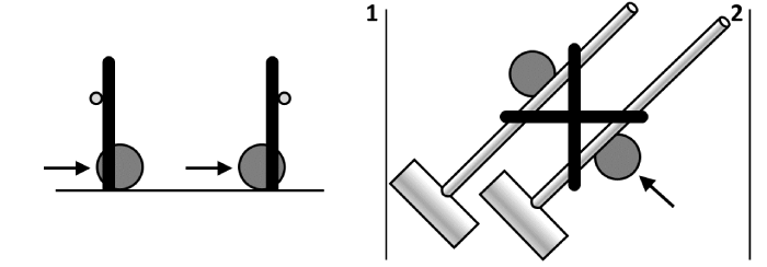 ����������� ����������� ���� �������. ������� ������.