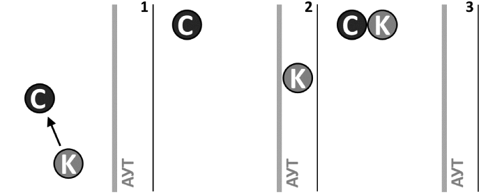 ����������. ������� ������.